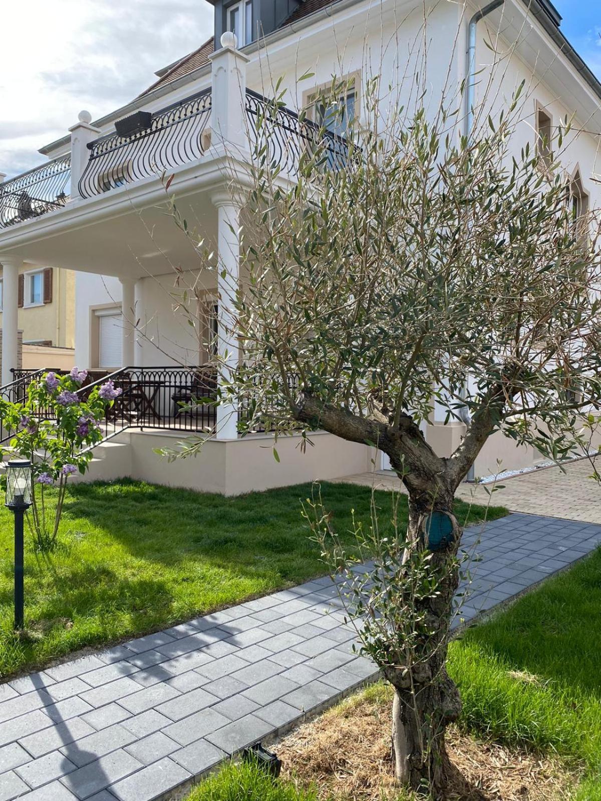 Primera Villa 징엔 외부 사진